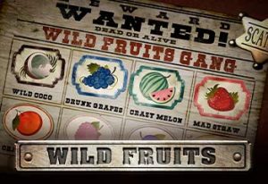 Wild Fruits